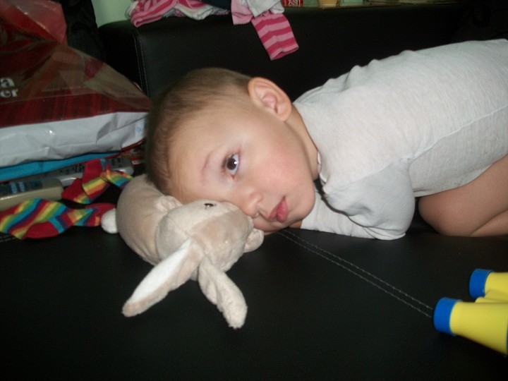 img00017.jpg