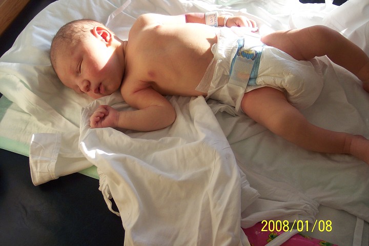 img00008.jpg