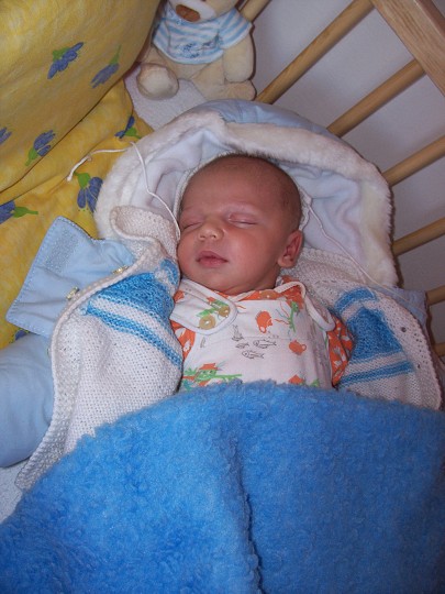img00016.jpg