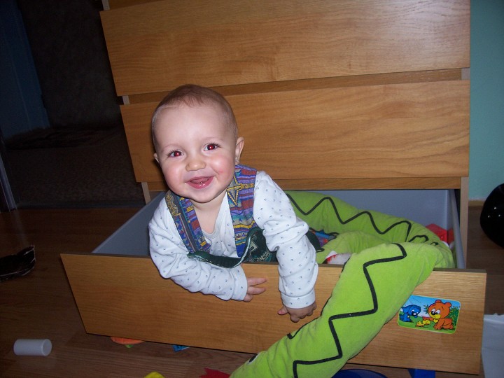 img00005.jpg