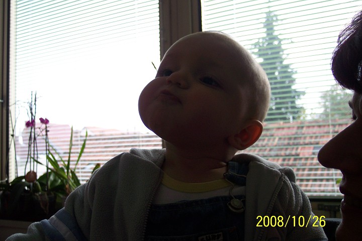 img00006.jpg