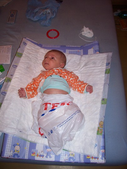 img00005.jpg