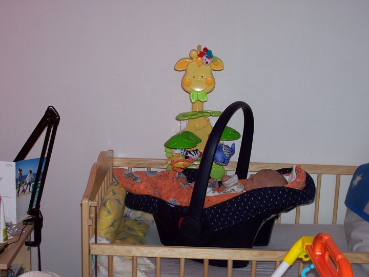 img00008.jpg