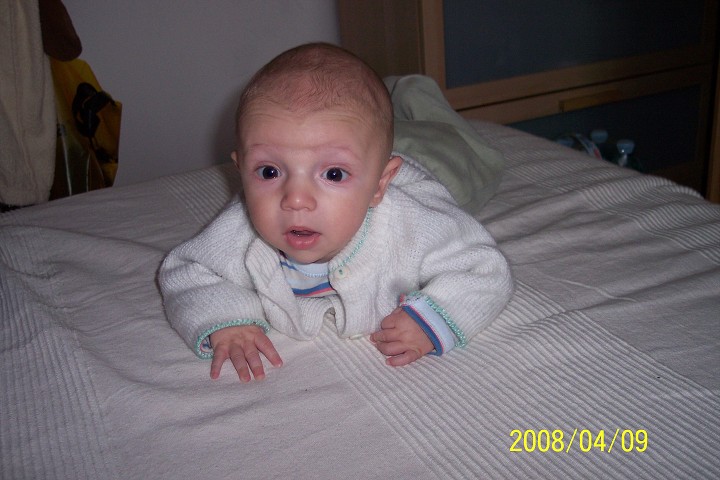 img00005.jpg