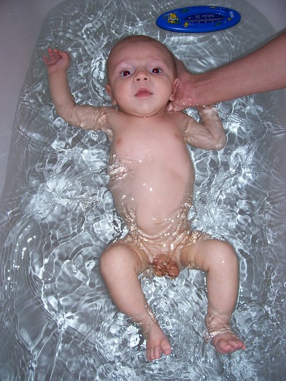 img00006.jpg