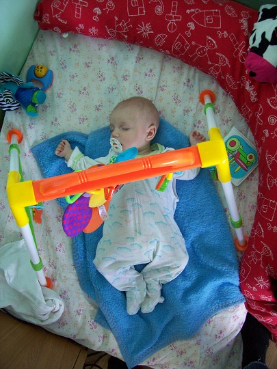 img00008.jpg