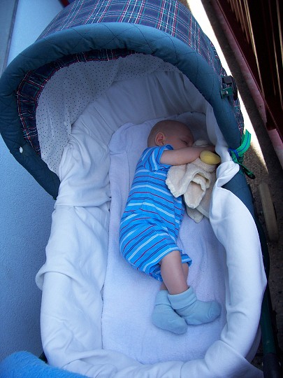 img00011.jpg