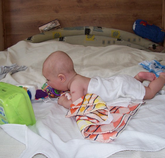 img00010.jpg