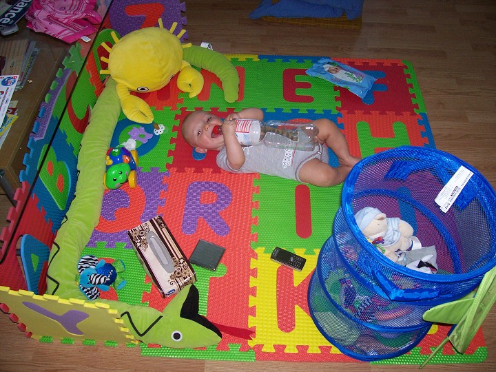 img00010.jpg