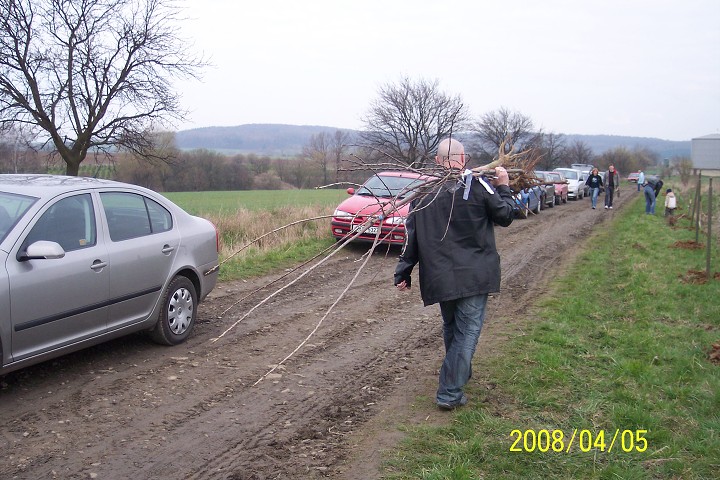img00002.jpg