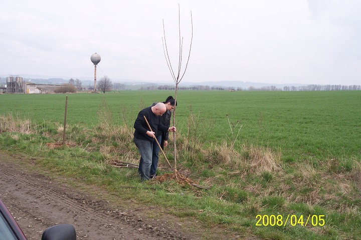 img00003.jpg