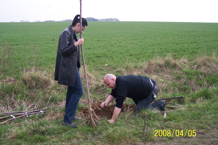 img00004.jpg