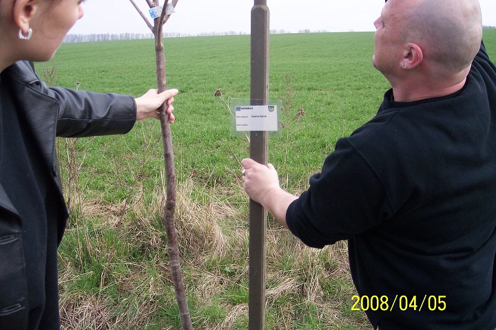 img00006.jpg