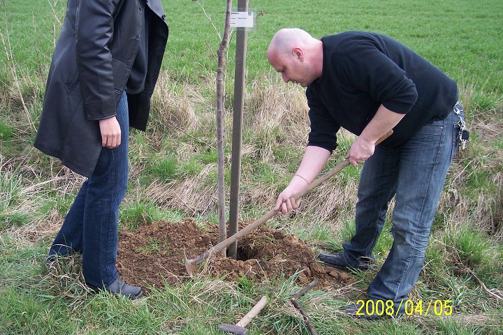 img00007.jpg