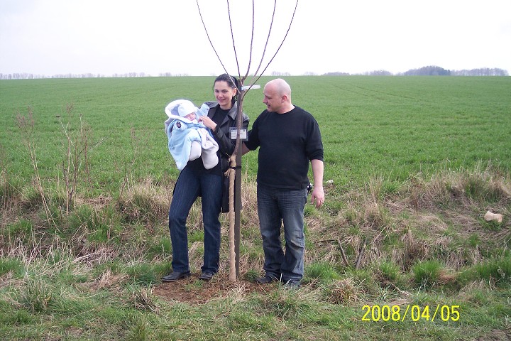 img00009.jpg