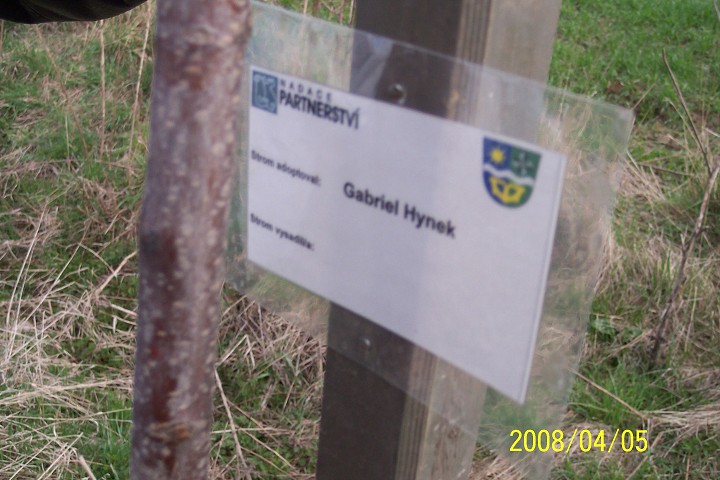 img00010.jpg