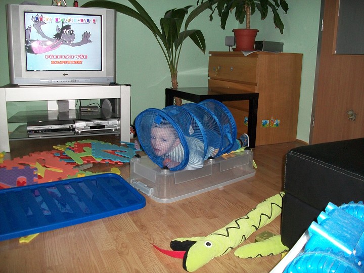 img00005.jpg