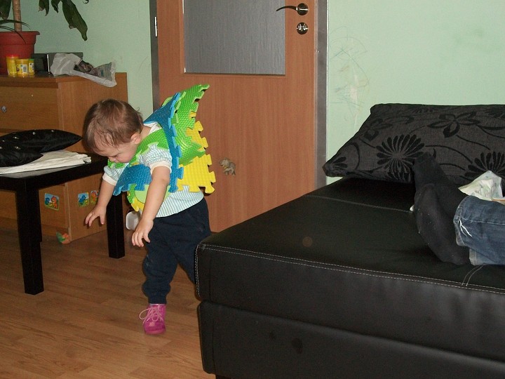 img00008.jpg