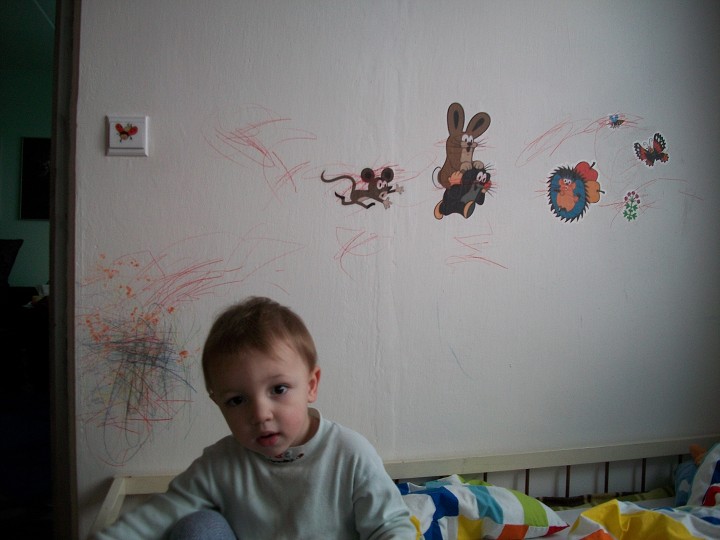 img00010.jpg