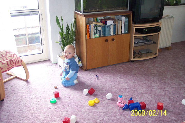 img00005.jpg