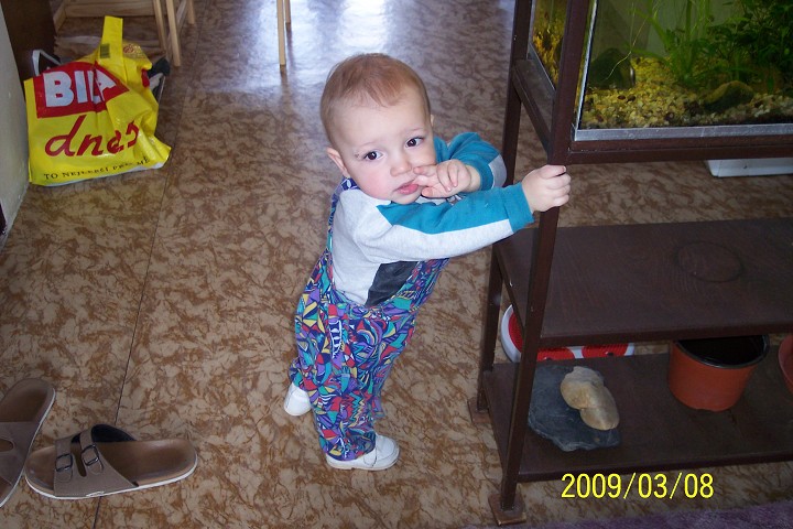 img00007.jpg