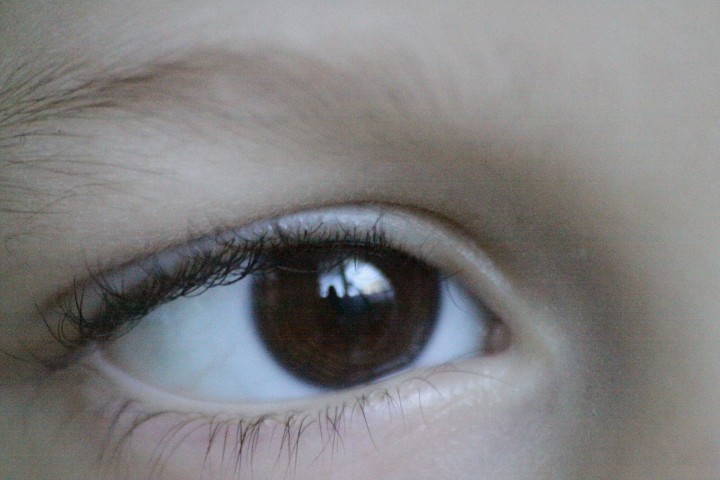 img00008.jpg
