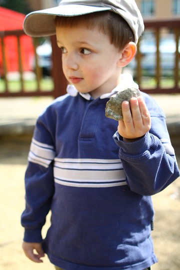 img00006.jpg