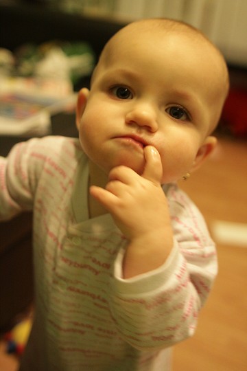 img00009.jpg