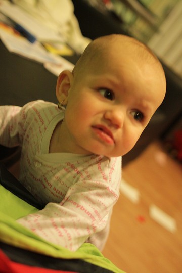 img00010.jpg
