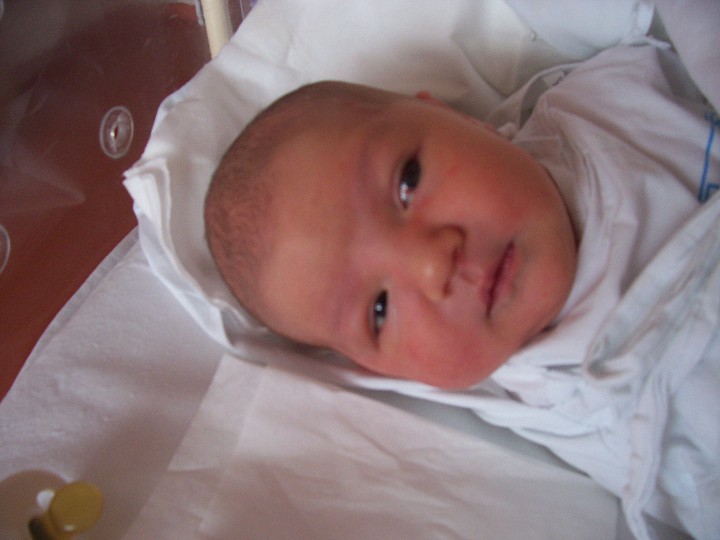 img00002.jpg