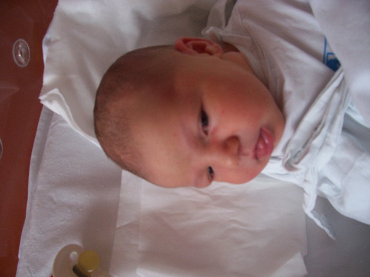img00003.jpg