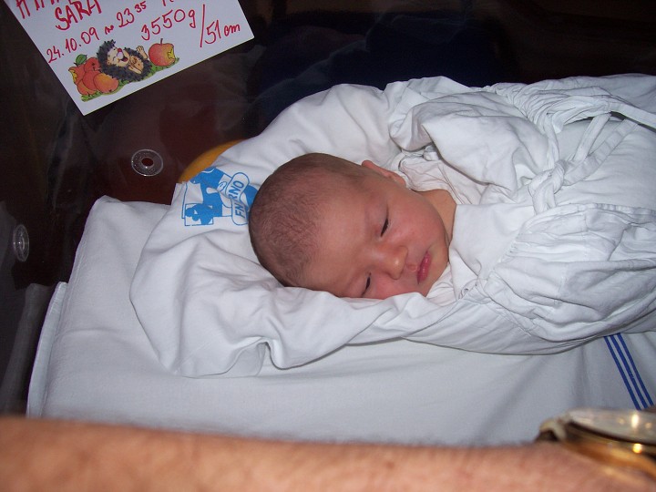 img00005.jpg