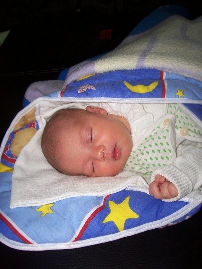 img00006.jpg