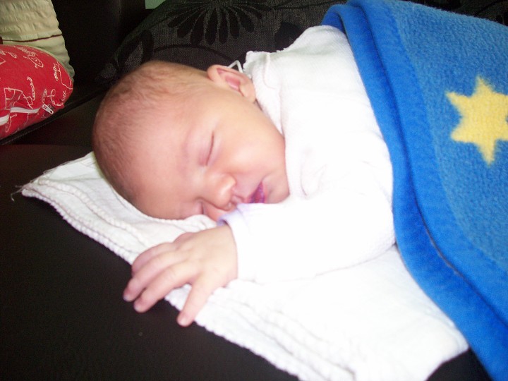 img00007.jpg