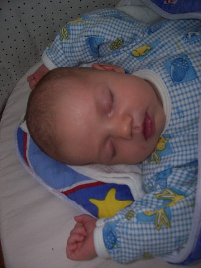 img00008.jpg
