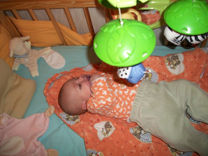 img00007.jpg