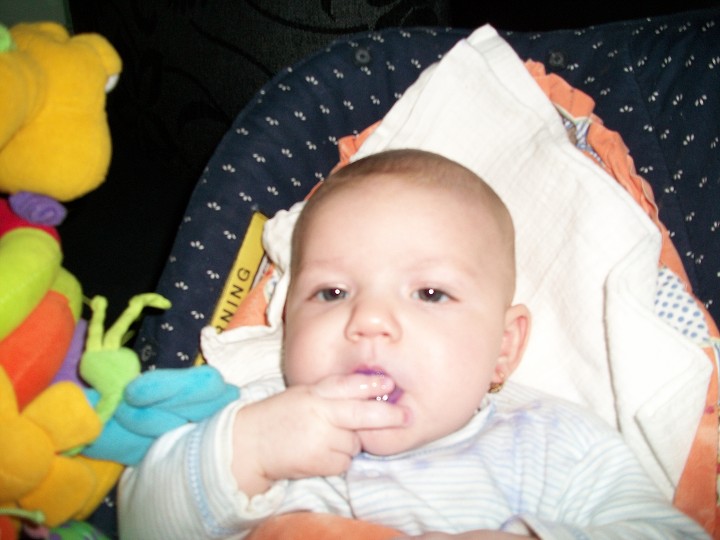 img00004.jpg