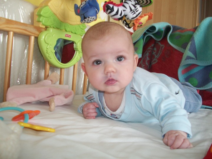 img00004.jpg
