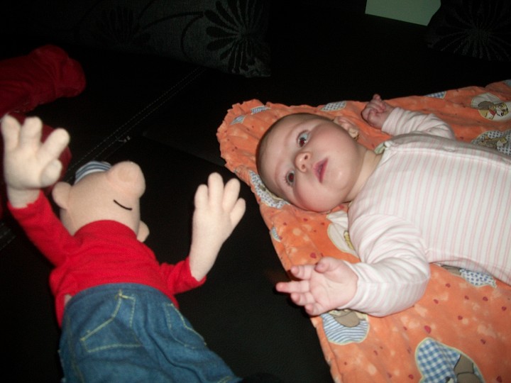 img00003.jpg