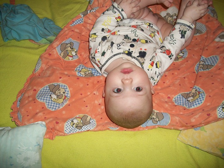img00007.jpg