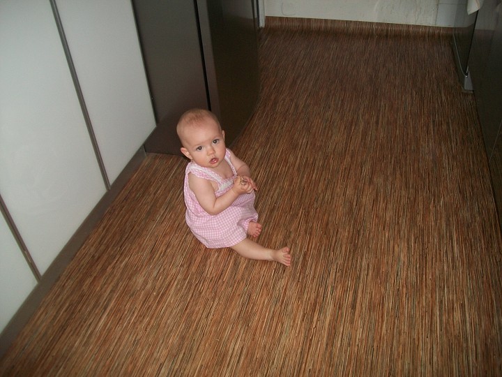 img00006.jpg