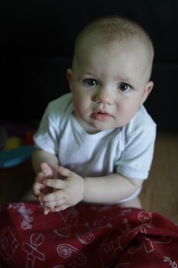 img00017.jpg