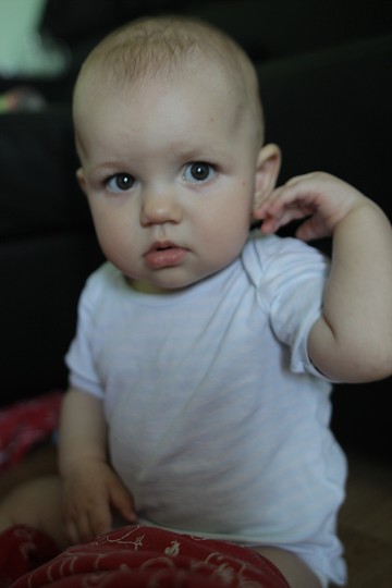 img00018.jpg