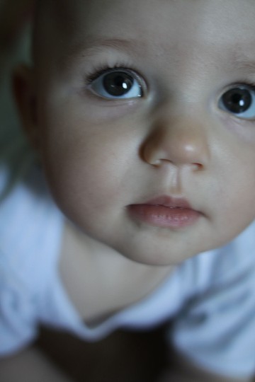 img00019.jpg