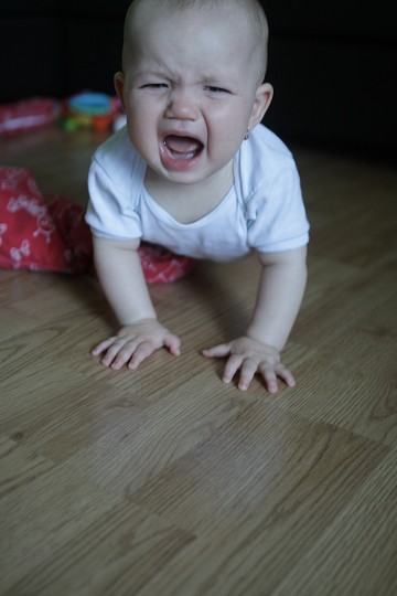 img00020.jpg